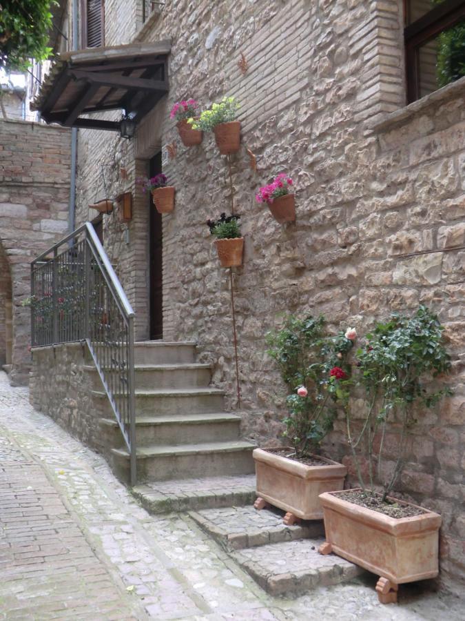 La Corta Di Spello Camere Bagian luar foto