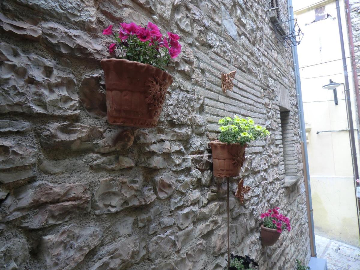 La Corta Di Spello Camere Bagian luar foto