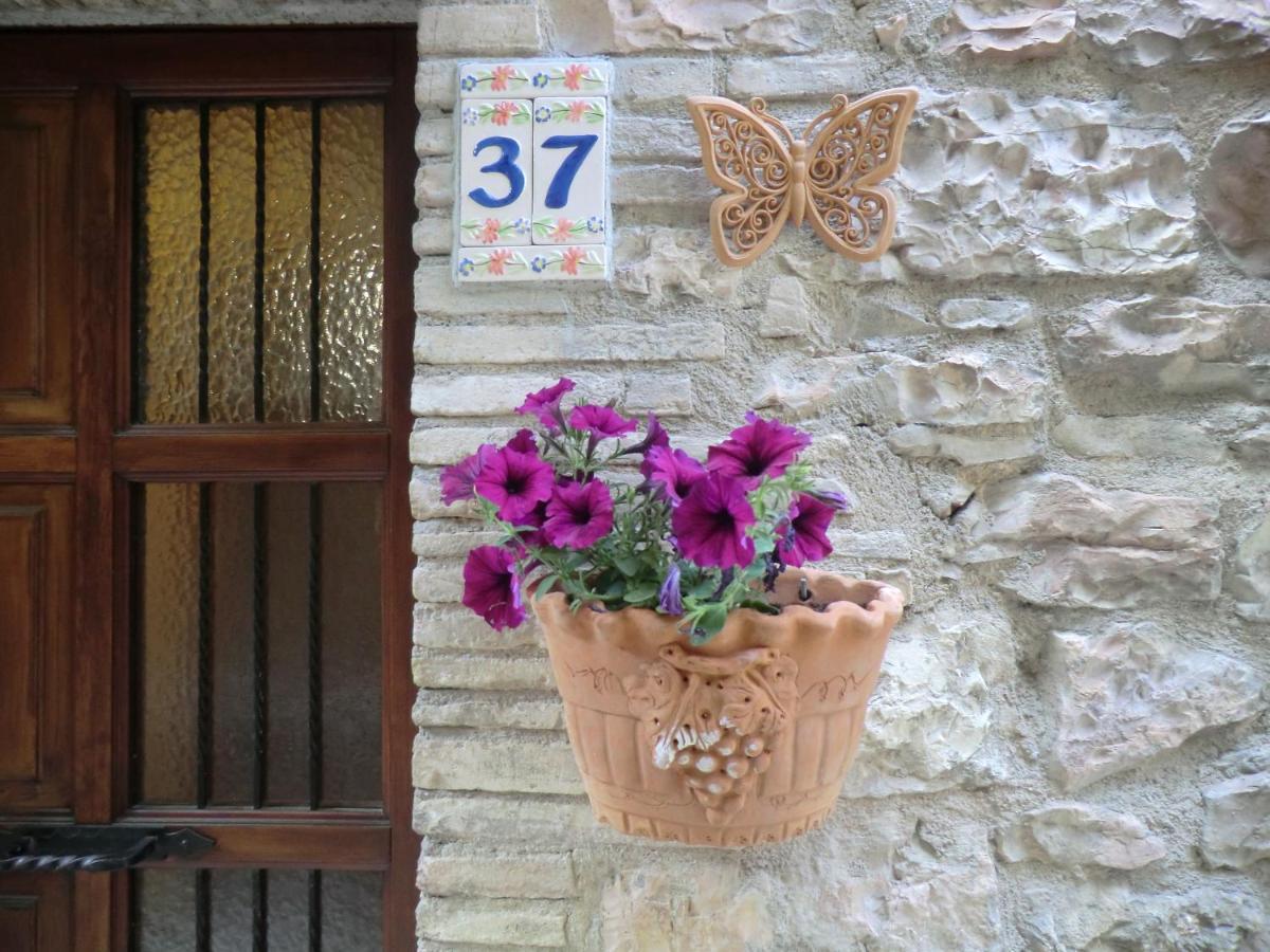 La Corta Di Spello Camere Bagian luar foto