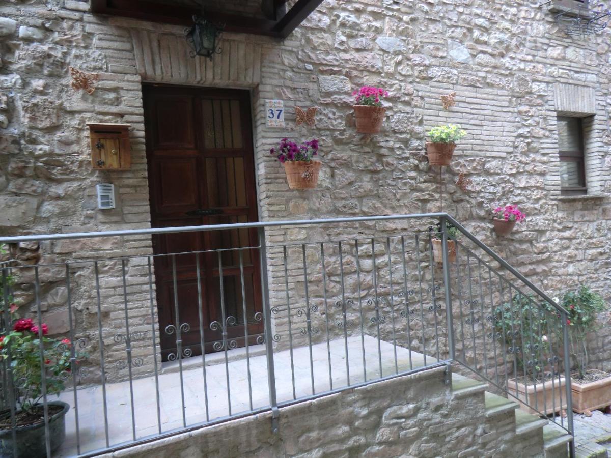 La Corta Di Spello Camere Bagian luar foto