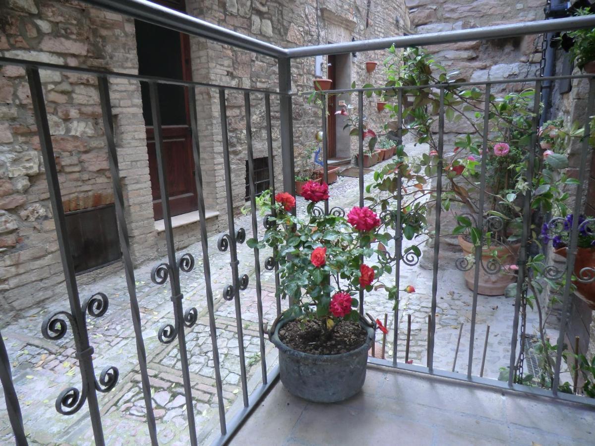 La Corta Di Spello Camere Bagian luar foto