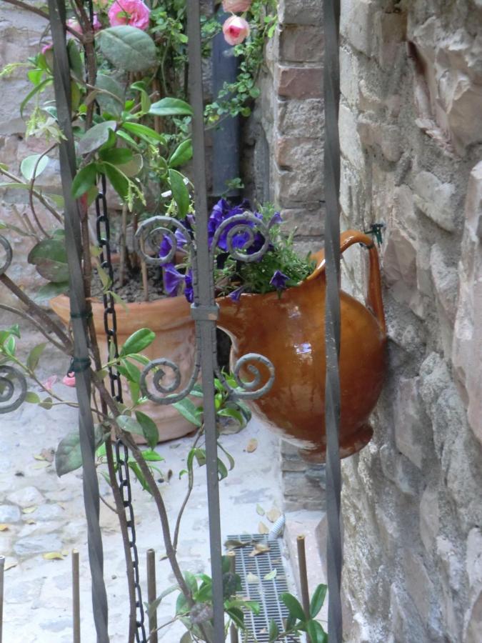 La Corta Di Spello Camere Bagian luar foto